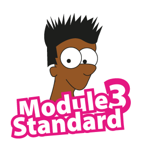 Module-standard-3